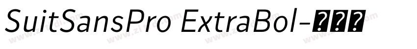 SuitSansPro ExtraBol字体转换 SuitSansPro ExtraBol字体转换